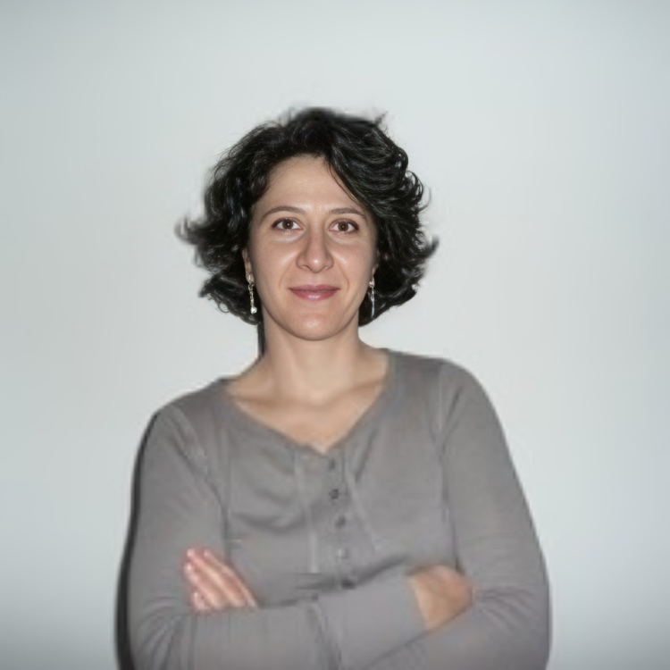 DICES Petya Slavova Social Economy Inclusion